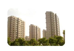 ������ͥ