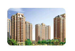 ���˾��ø�ۡ