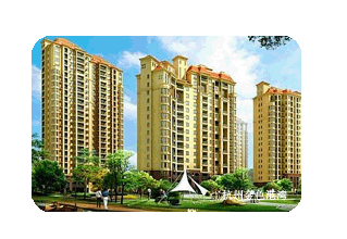 ���ݽ�ɫ����